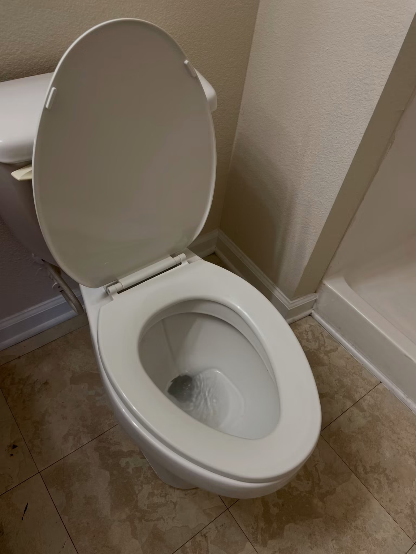 After cleaning: same toilet fully scrubbed, sanitized and spotless following Clean & Polished service